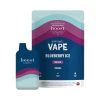 Boost Disposable THC Vape – Blueberry Ice 3g