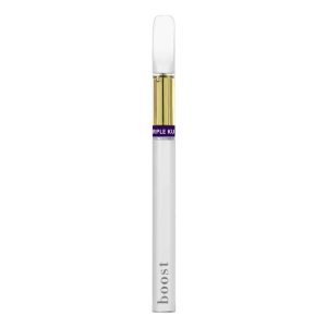 Disposable THC Vape – Purple Kush 1g (Indica)