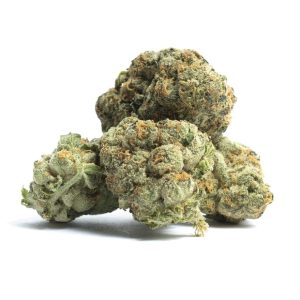African Buzz Cannabis Strain premium African-inspired sativa cannabis flower by HighShop420