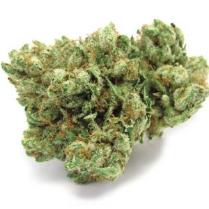 Bentley OG Cannabis Strain premium hybrid cannabis flower by HighShop420