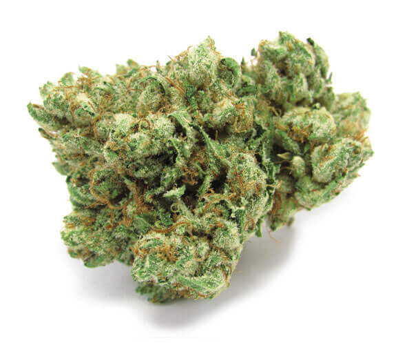 Bentley OG Cannabis Strain premium hybrid cannabis flower by HighShop420