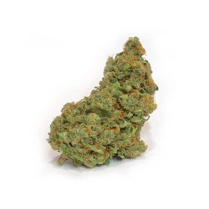 Berry Haze Cannabis Strain premium sativa-dominant cannabis flower by HighShop420