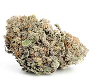 Blackberry Kush Cannabis Strain premium indica cannabis flower by HighShop420