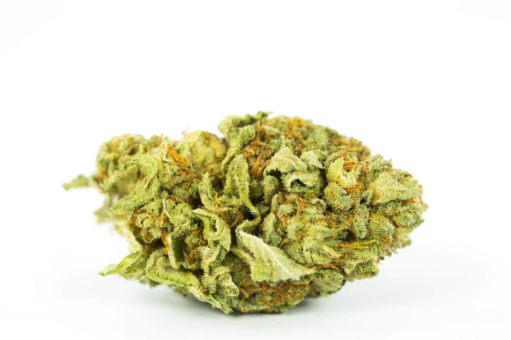 Blueberry Kush Cannabis Strain premium hybrid cannabis flower by HighShop420