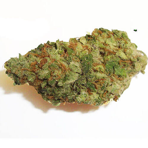 Blueberry Cannabis Strain premium indica cannabis flower by HighShop420