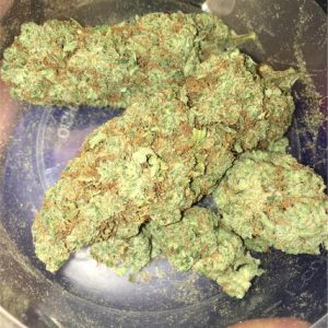 Bruce Banner #3 Cannabis Strain premium hybrid cannabis flower by HighShop420