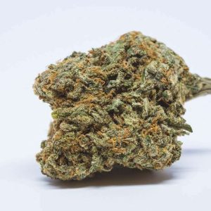 Cheese Cannabis Strain premium hybrid cannabis flower by HighShop420