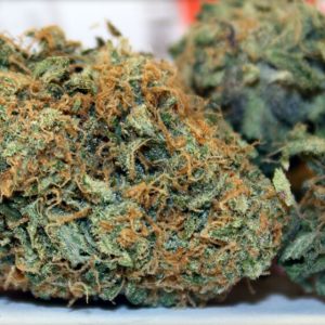 Chocolate Thai Cannabis Strain premium Thai landrace cannabis flower by HighShop420