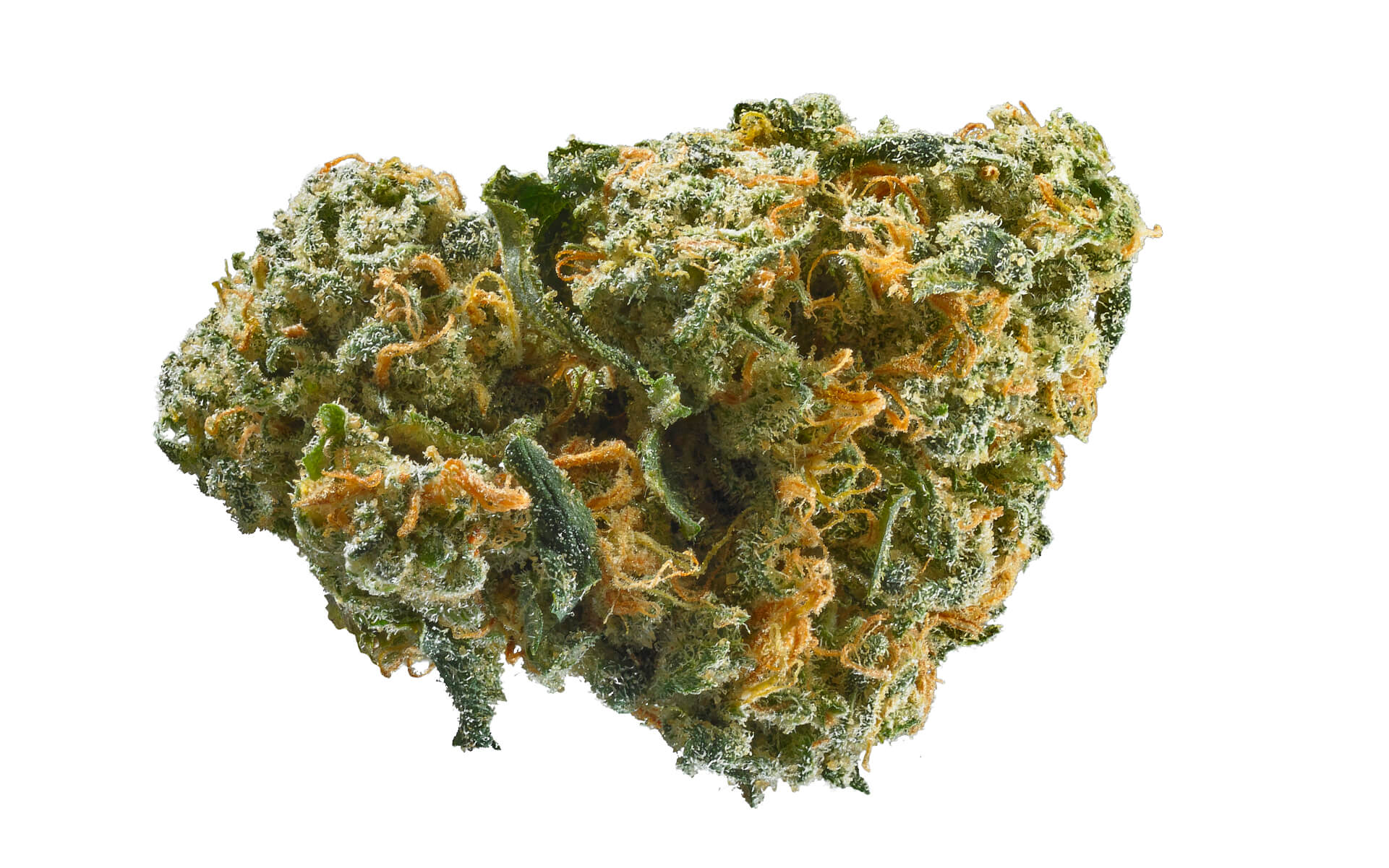 Classic OG Cannabis Strain premium hybrid cannabis flower by HighShop420