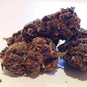 Colombian Black Cannabis Strain premium South American landrace cannabis flower by HighShop420