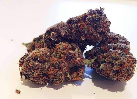 Colombian Black Cannabis Strain premium South American landrace cannabis flower by HighShop420