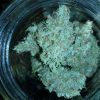 Double Glock Cannabis Strain premium hybrid cannabis flower by HighShop420