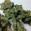 Dr. Grinspoon Cannabis Strain premium pure sativa cannabis flower by HighShop420