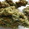 Elephant Stomper Cannabis Strain premium indica hybrid cannabis flower by HighShop420
