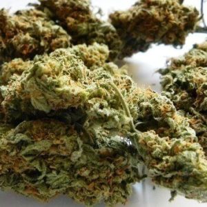 Elephant Stomper Cannabis Strain premium indica hybrid cannabis flower by HighShop420