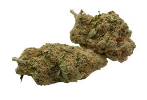 Elephant Stomper Cannabis Strain premium indica hybrid cannabis flower by HighShop420