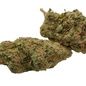 Elephant Stomper Cannabis Strain premium indica hybrid cannabis flower by HighShop420