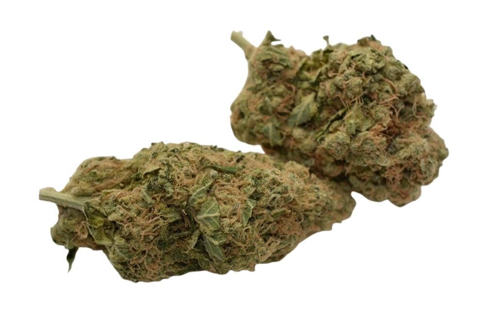 Elephant Stomper Cannabis Strain premium indica hybrid cannabis flower by HighShop420