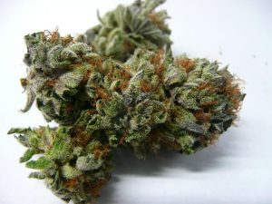 Fucking Incredible Cannabis Strain premium indica cannabis flower by HighShop420
