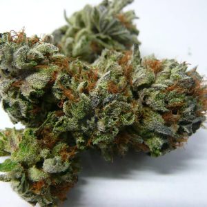 Fucking Incredible Cannabis Strain premium indica cannabis flower by HighShop420
