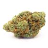 Gas Cannabis Strain premium hybrid cannabis flower by HighShop420