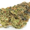 Gelato Cannabis Strain premium hybrid cannabis flower by HighShop420