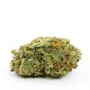 Girl Scout Cookies Cannabis Strain premium hybrid cannabis flower by HighShop420
