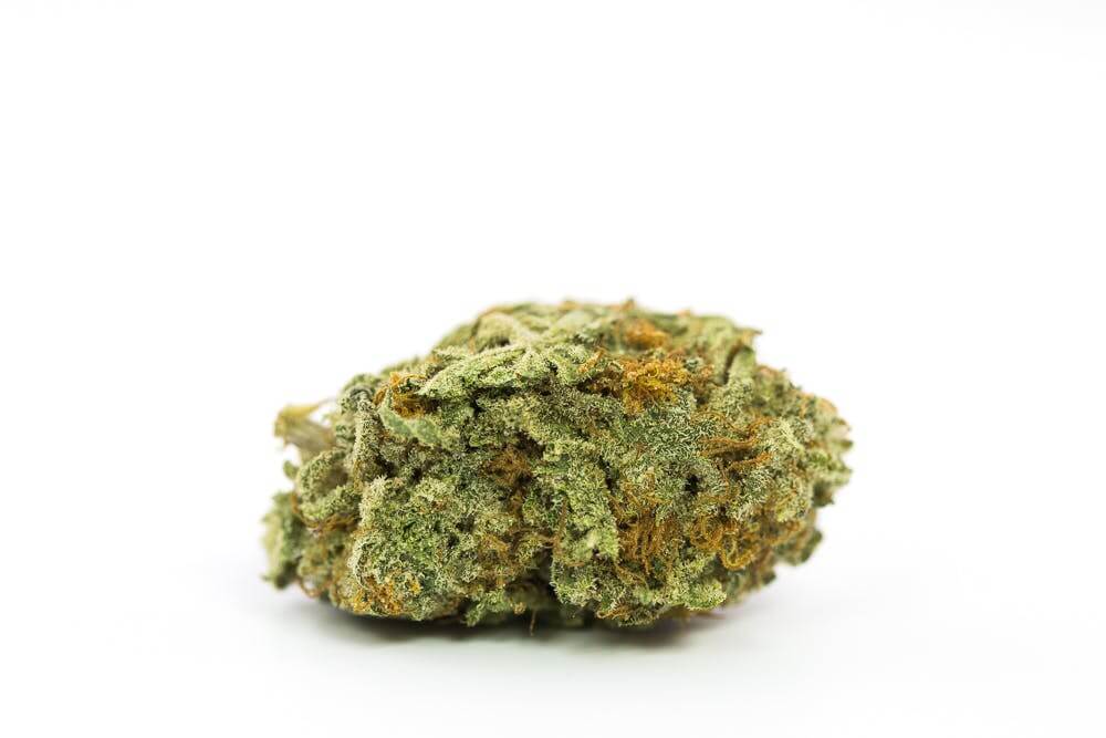 Girl Scout Cookies Cannabis Strain premium hybrid cannabis flower by HighShop420