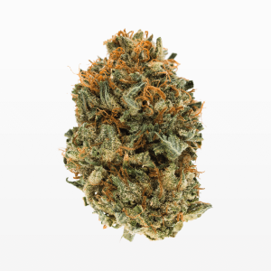 Gorilla Glue #4 Cannabis Strain premium hybrid cannabis flower by HighShop420