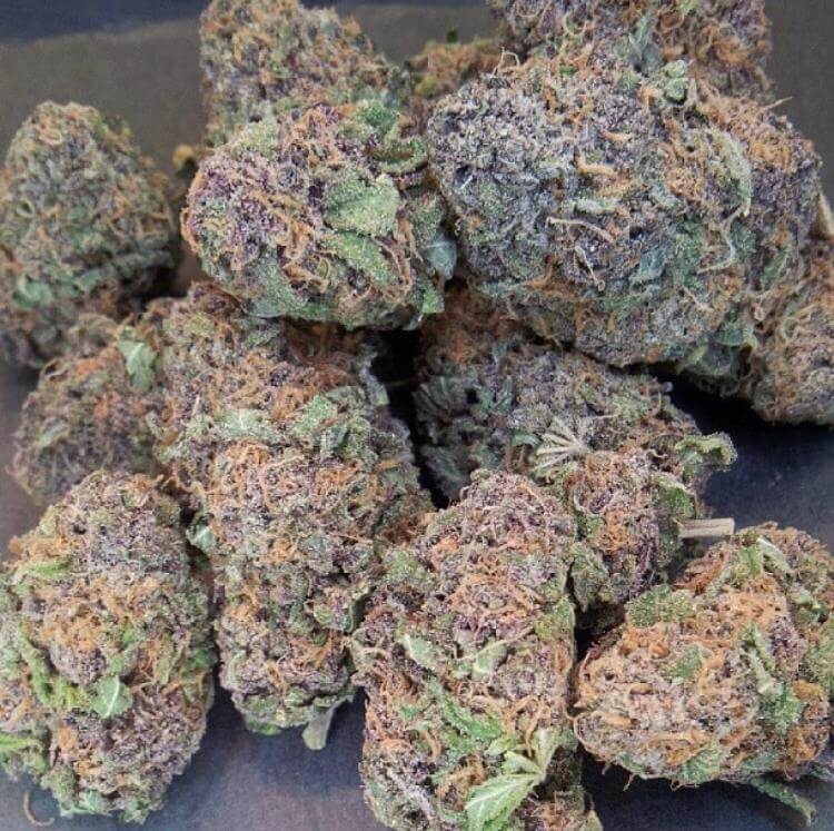 Granddaddy Purple Cannabis Strain premium indica cannabis flower by HighShop420