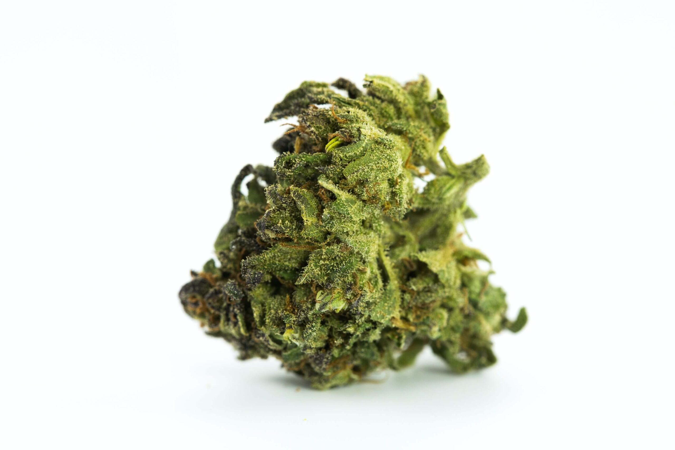 Green Dragon Cannabis Strain premium hybrid cannabis flower by HighShop420