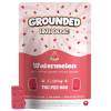 Grounded High Dose Bricks – Watermelon 500mg Gummies