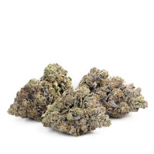 High Octane OG Cannabis Strain premium hybrid cannabis flower