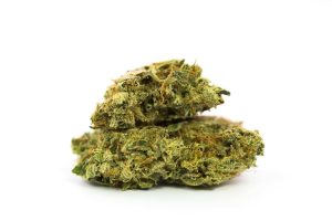 Hindu Kush Cannabis Strain premium indica cannabis flower by HighShop420