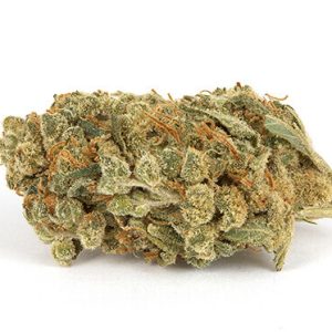 Holland Skunk Special Cannabis Strain premium hybrid cannabis flower by HighShop420