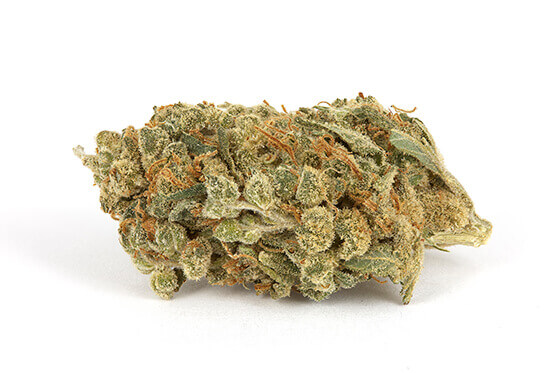 Holland Skunk Special Cannabis Strain premium hybrid cannabis flower by HighShop420
