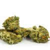 Jamaican Cannabis Strain premium Caribbean landrace cannabis flower by HighShop420