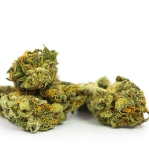 Jamaican Cannabis Strain premium Caribbean landrace cannabis flower by HighShop420
