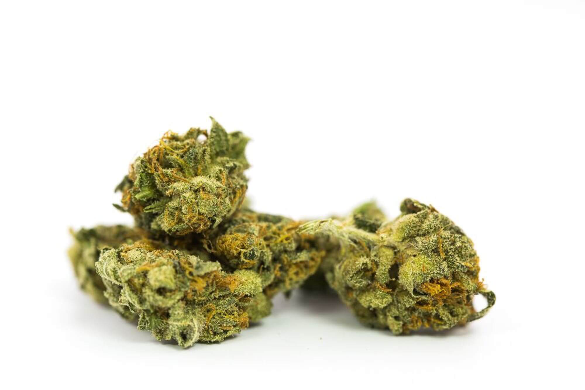 Jamaican Cannabis Strain premium Caribbean landrace cannabis flower by HighShop420