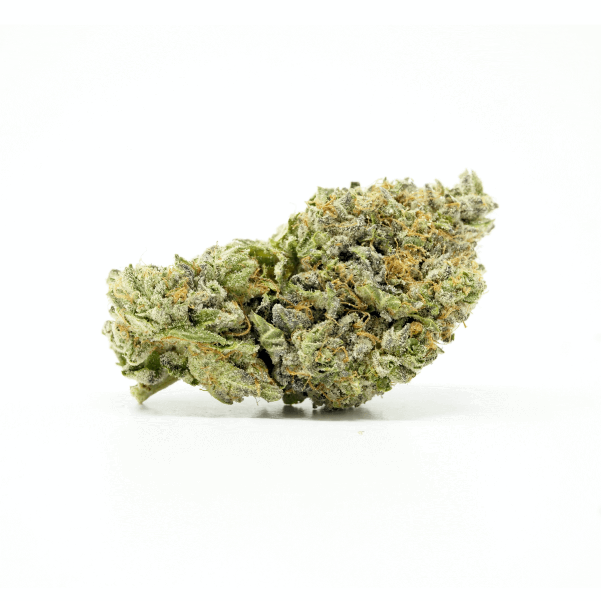 Jedi Kush Cannabis Strain premium hybrid cannabis flower by HighShop420