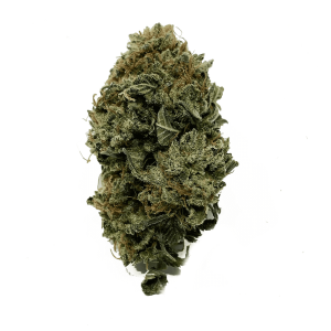 Juicy Wreck Cannabis Strain premium hybrid cannabis flower by HighShop420