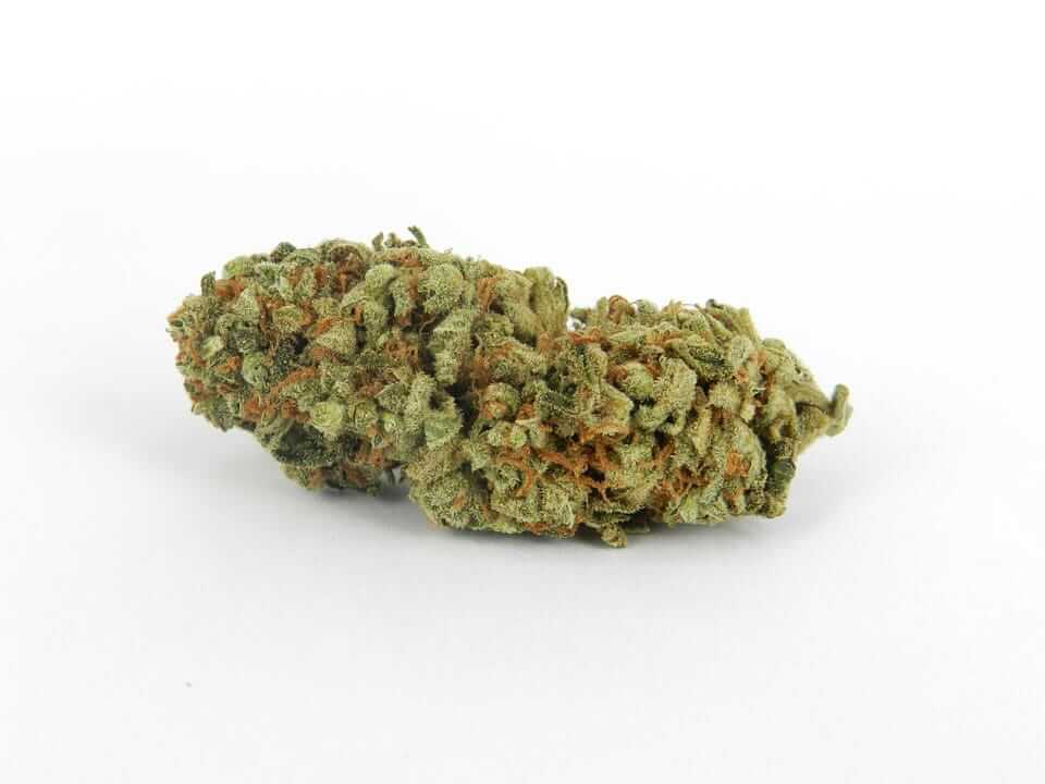 Sunset Sherbert Cannabis Strain premium hybrid cannabis flower by HighShop420