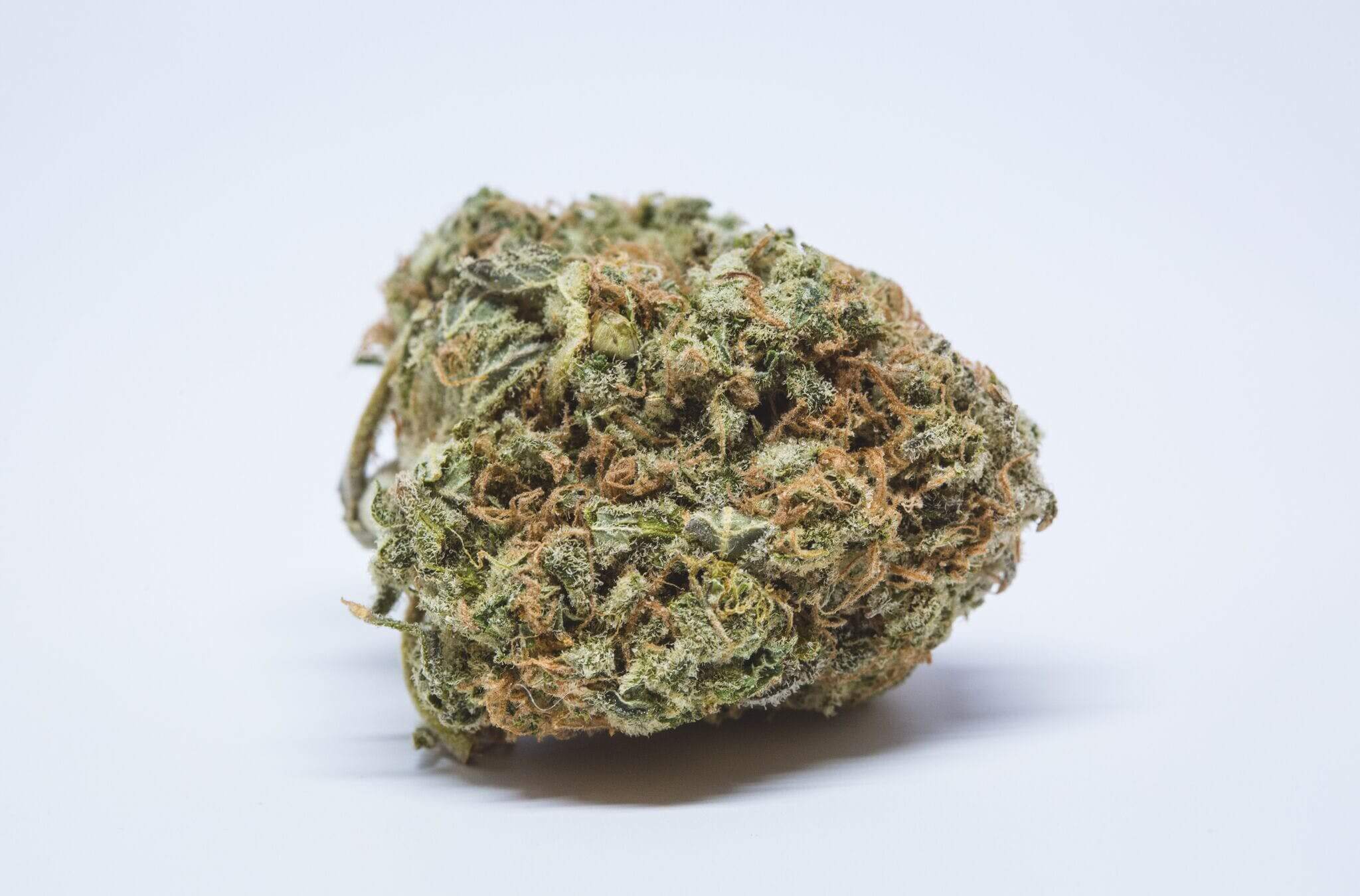 Larry OG Cannabis Strain premium hybrid cannabis flower by HighShop420