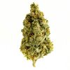 Magnificent Mile Cannabis Strain premium hybrid cannabis flower by HighShop420