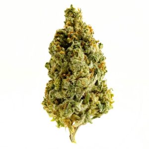 Magnificent Mile Cannabis Strain premium hybrid cannabis flower by HighShop420
