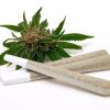 Marijuana Trainwreck Pre-rolled Joint