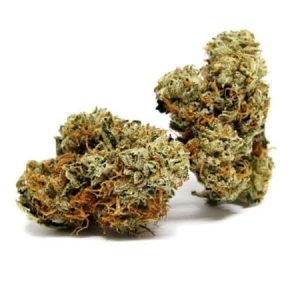 Maui Wowie Cannabis Strain premium sativa cannabis flower by HighShop420