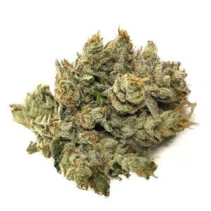 Premium OG Kush Cannabis Strain dense resin-rich hybrid cannabis flower by HighShop420
