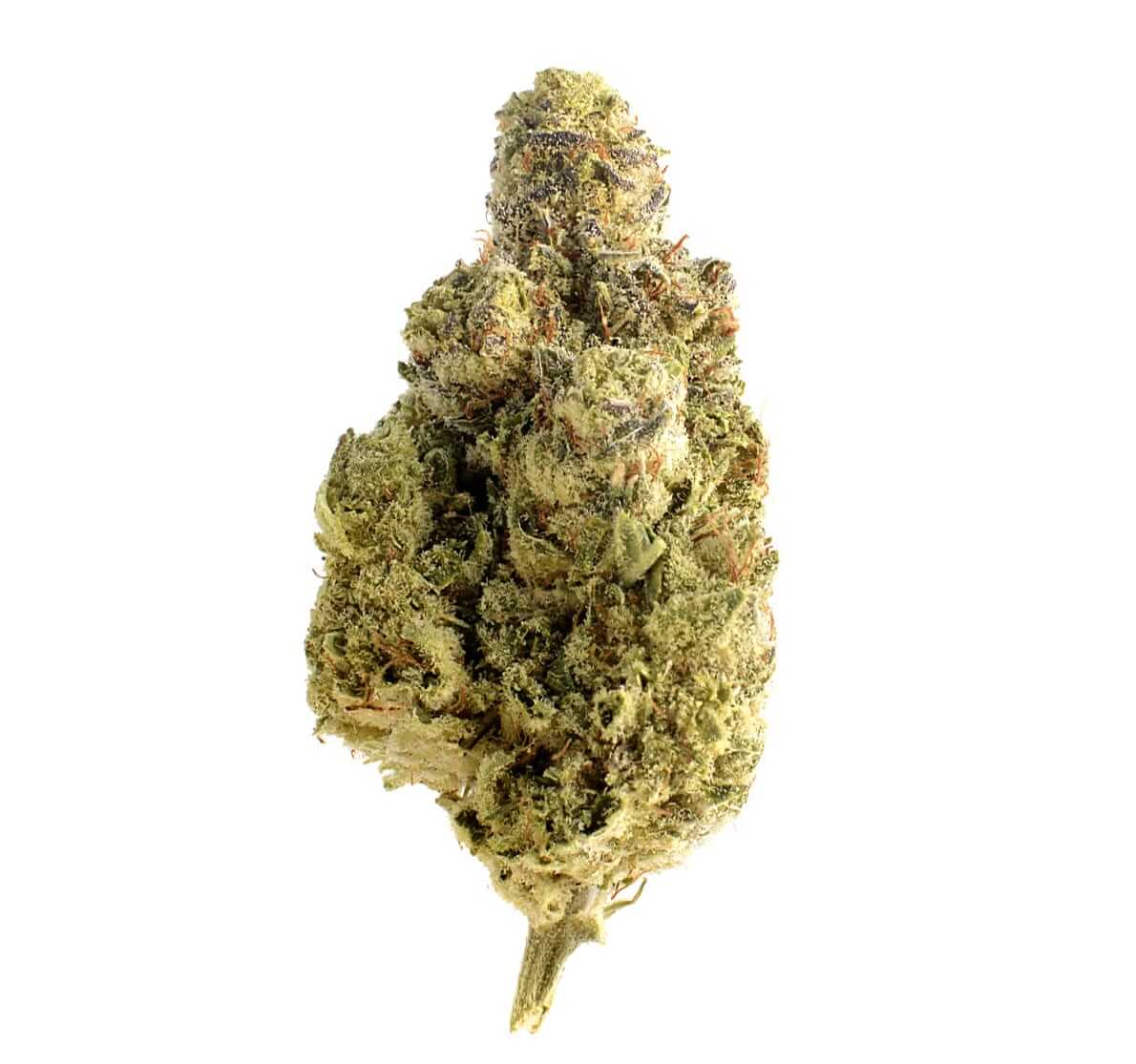 OG Kush Cannabis Strain premium hybrid cannabis flower by HighShop420
