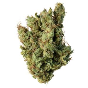 Original Haze Cannabis Strain premium sativa cannabis flower by HighShop420